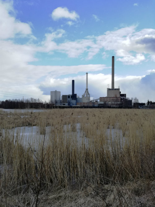 Ekoalue vai ”ekoalue” – Finnoon keskus ja Suomenojan lintukosteikko kaupunkisuunnittelulautakunnassa