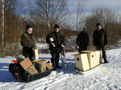 Kevät koittaa Suomenojalla – lintukosteikko suojellaan&nbsp;kaavassa