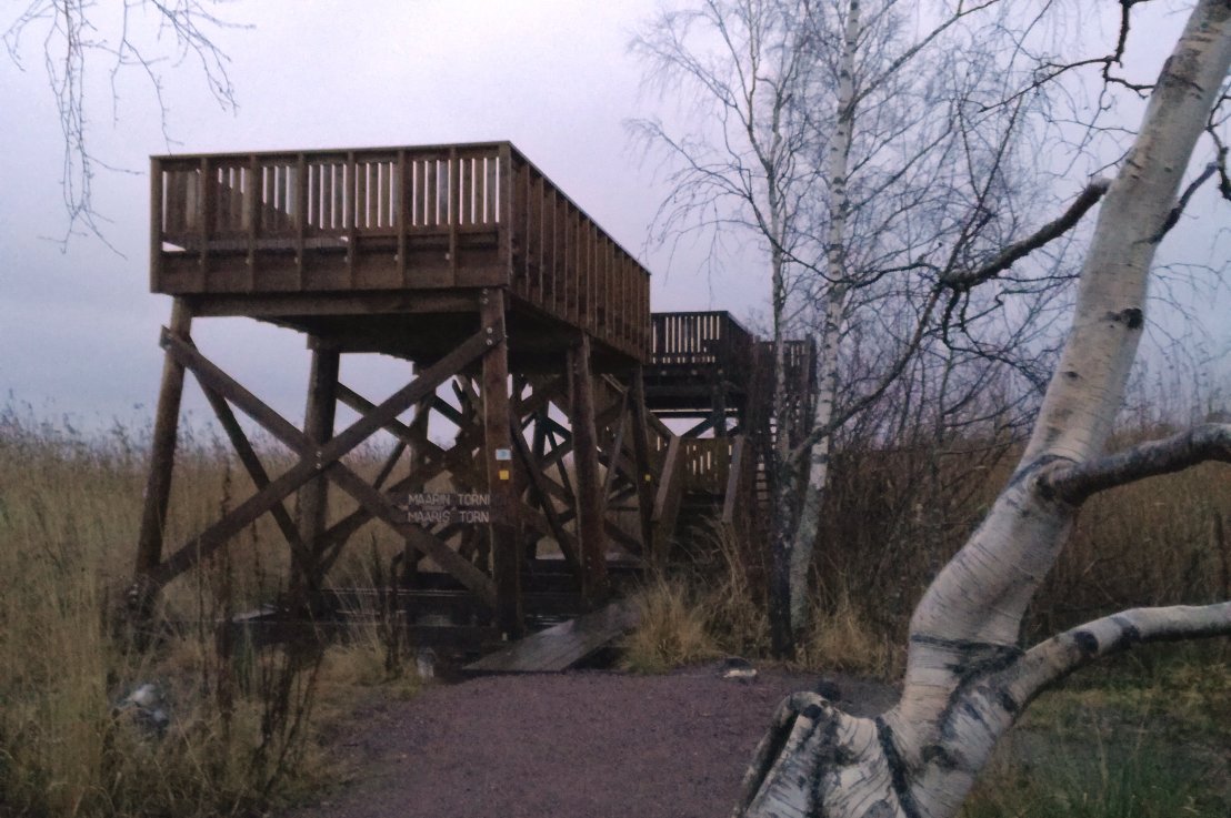 Metro tuo lähiluonnon entistäkin&nbsp;lähemmäksi