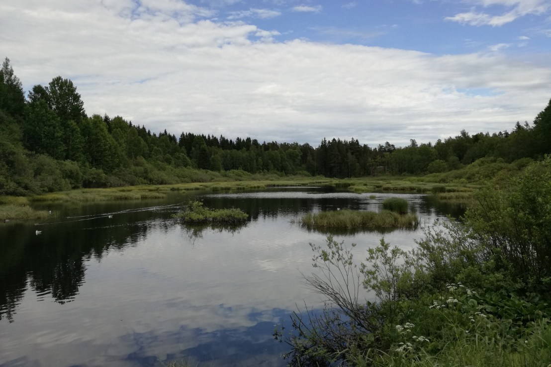 Kevään viimeiset kokoukset ovat takana – ja kesä&nbsp;edessä