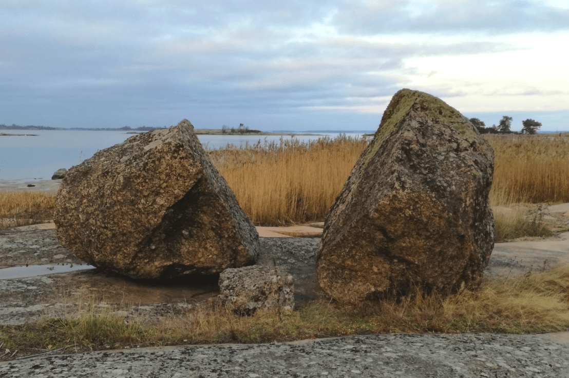 Valtuustopuhe luonnon monimuotoisuudesta: 100 000 euron lisärahoitus on hyvä&nbsp;alku