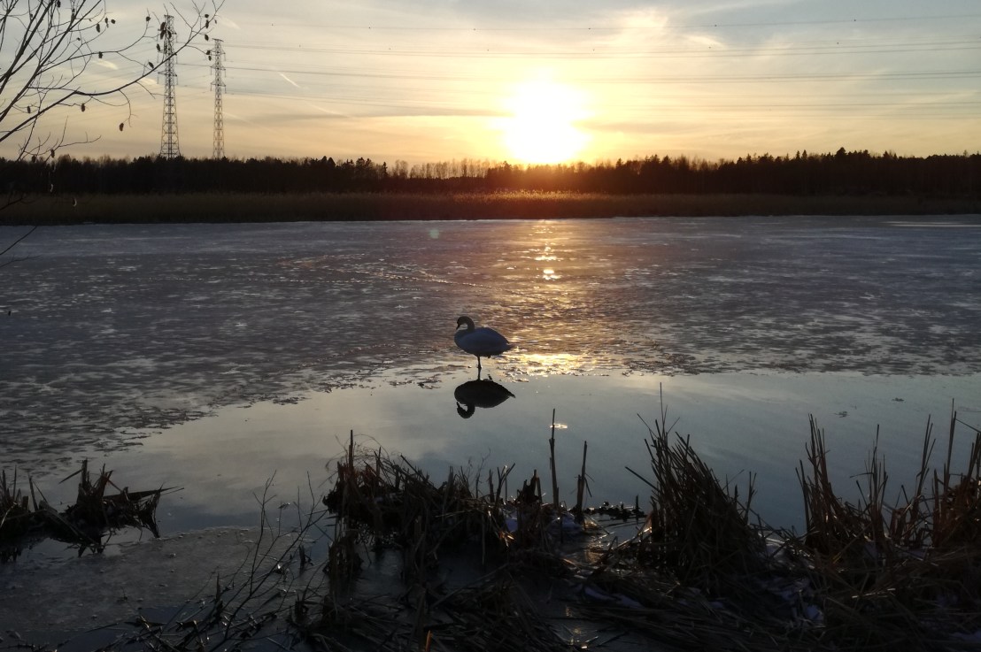Vaikeaa mutta mahdollista: puhe Espoon hiilineutraaliustavoitteesta