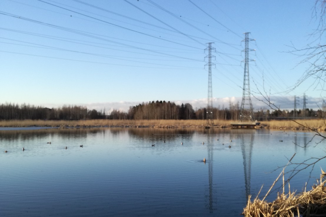 Valtuustoaloite: Suomenojan linnustoseurannat jokavuotisiksi