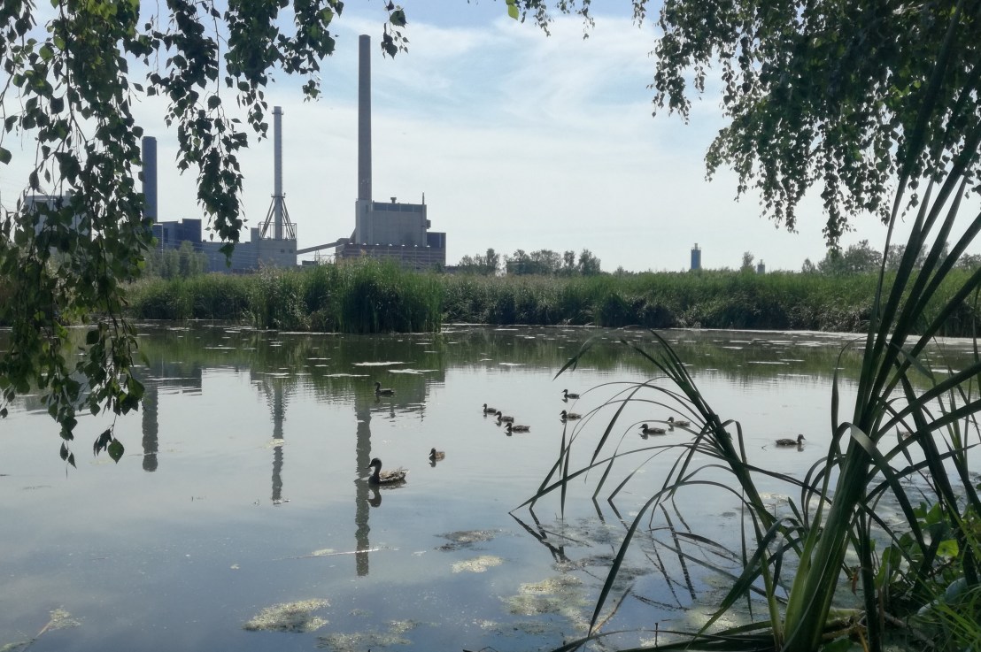 Ilmastotoimet ja luonnon monimuotoisuuden turvaaminen eivät voi enää&nbsp;odottaa