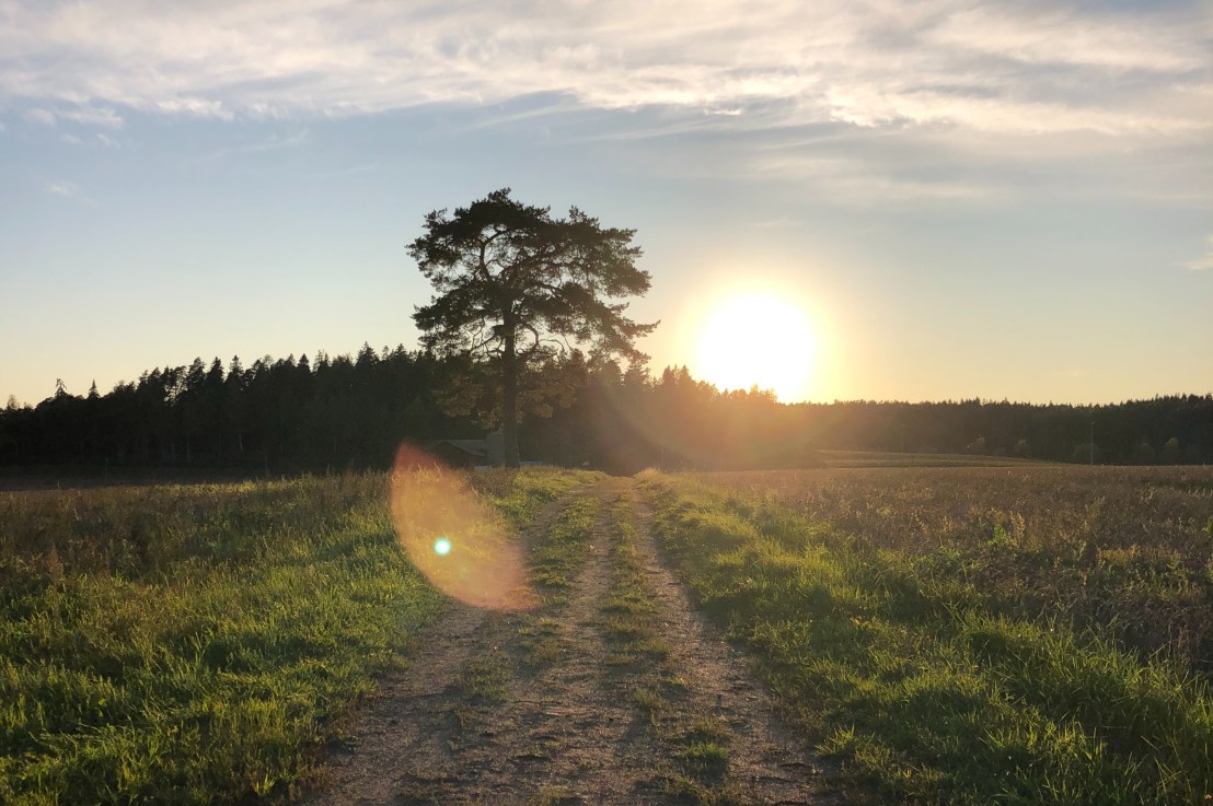 Uuden yleiskaavan valmistelu alkoi – Keskuspuisto&nbsp;laajenee
