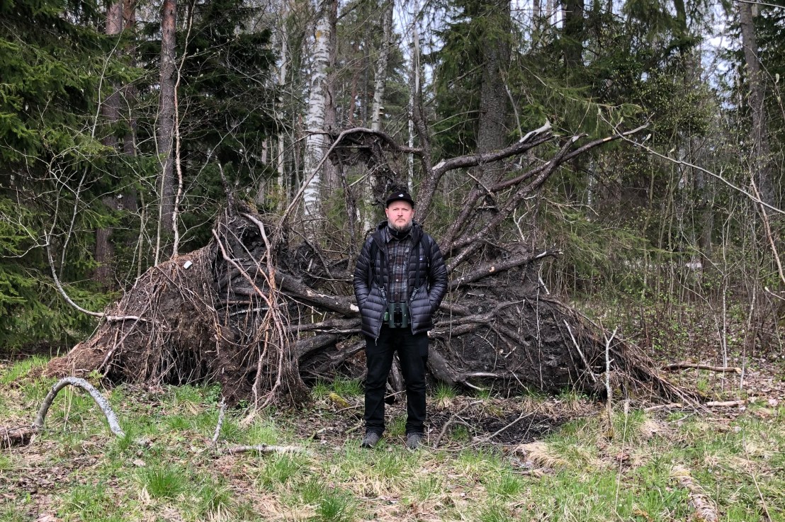 Miksi Keskuspuiston metsää avohakataan? Kysykää kokoomukselta, demareilta ja&nbsp;persuilta!