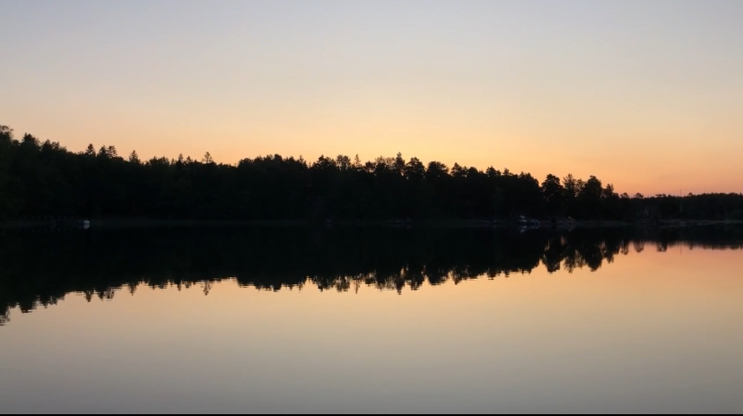 Mitä olen tehnyt Espoon kaupunginvaltuustossa 2020–2025